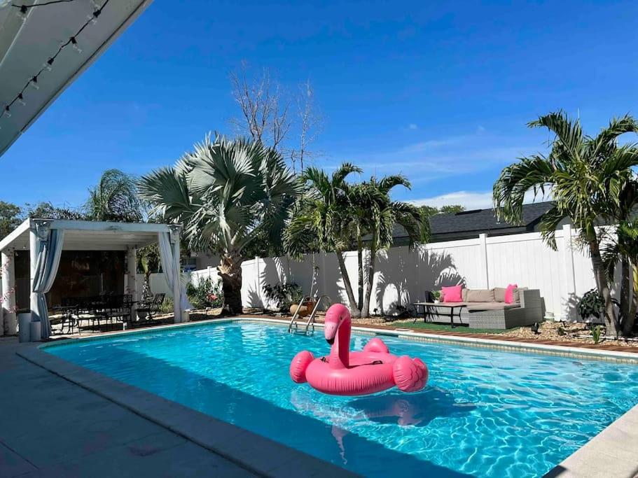 B&B Clearwater - The Pink Flamingo Heated Pool Oasis! 12min from CL Beach - Bed and Breakfast Clearwater