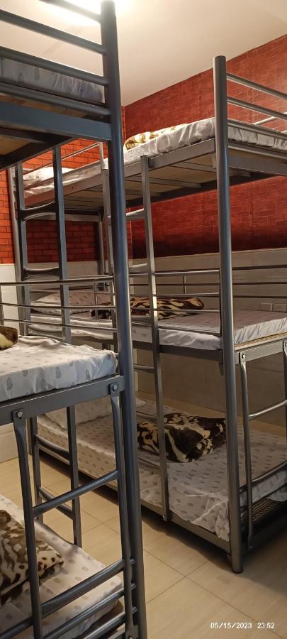 Bunk Bed in Mixed Dormitory Room