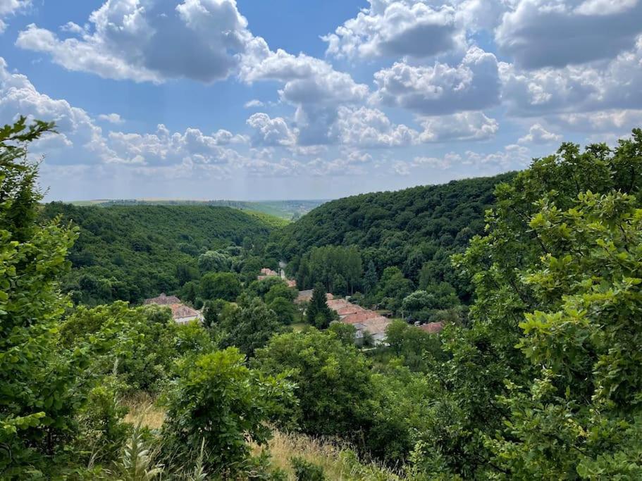 Latoria Vendégház Latorpusztán, a Bükk szívében - B&B Sály