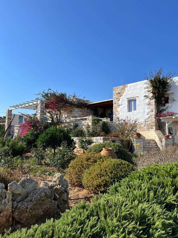 Stone Villa Mina - Chambres d’hôtes