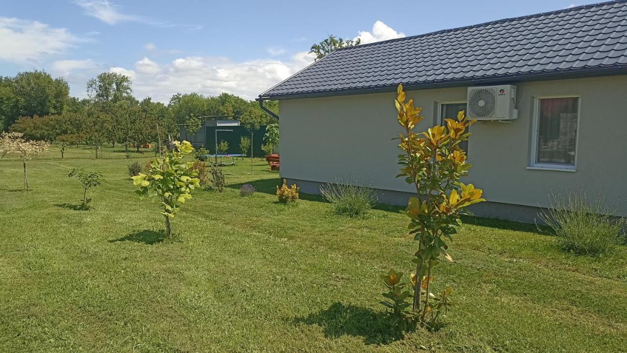 Apartment with Garden View