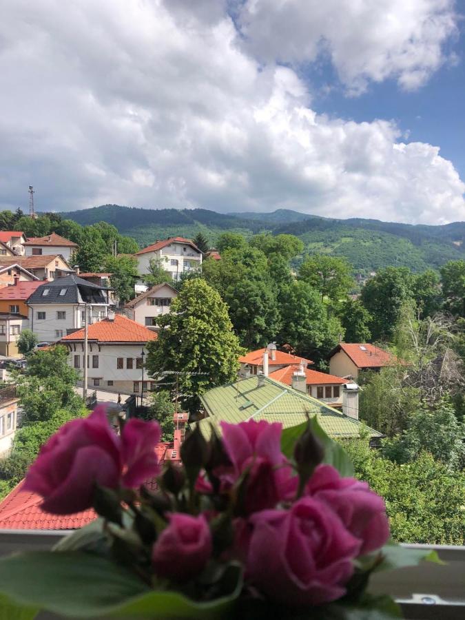 B&B Sarajevo - Hedgehog's Home - Ježeva kućica Free Parking - Bed and Breakfast Sarajevo