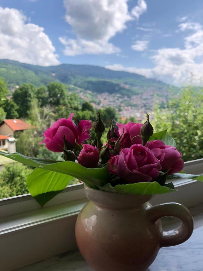 Hedgehog's Home - Ježeva kućica Free Parking - B&B Sarajevo