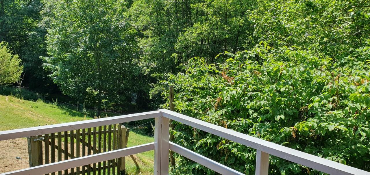 Chalet Les Allores Dohan (Bouillon) - Ferienwohnung Bouillon