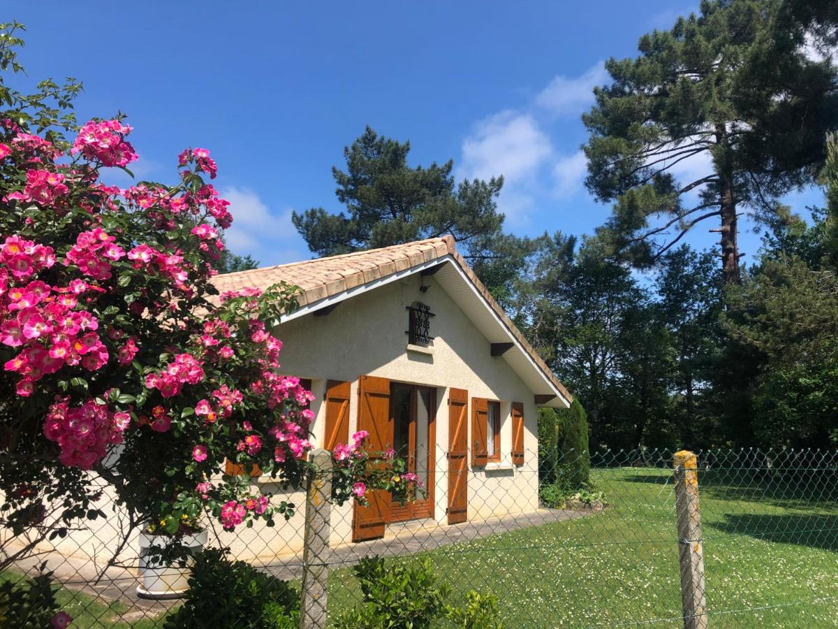 Villa au milieu des pins climatisée - B&B Lacanau