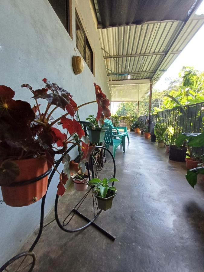 Monos Titi Third Floor - B&B Manuel Antonio
