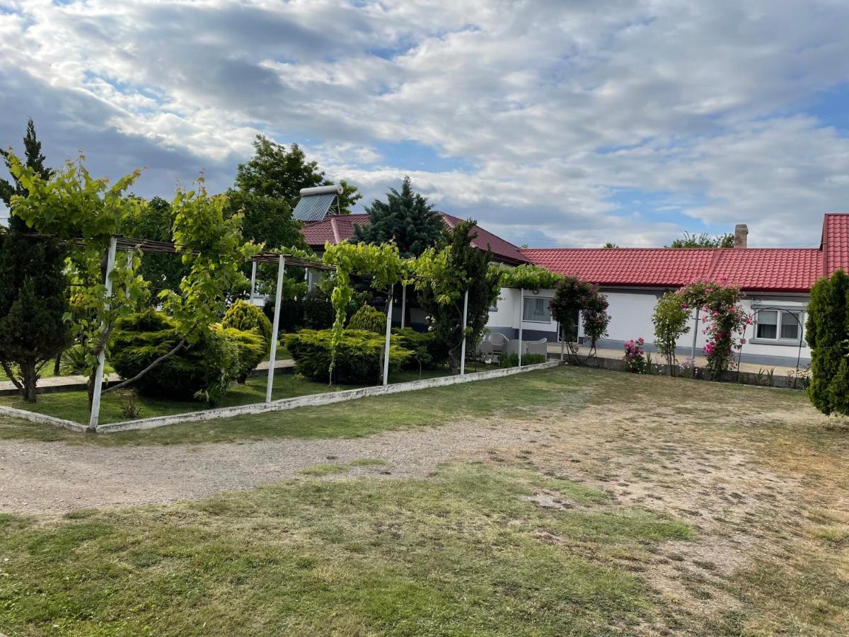 Casa Arts Vadu - B&B Vadu