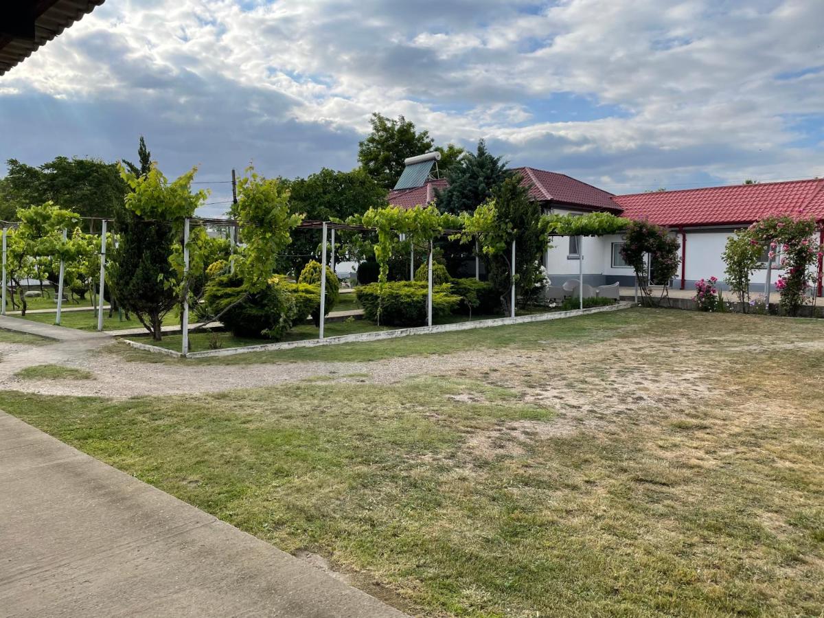 Casa Arts Vadu - Chambres d’hôtes Vadu