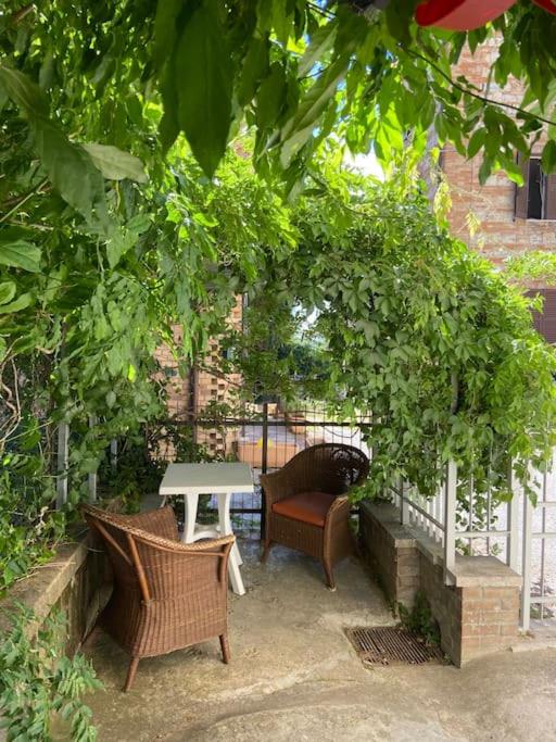 Il Glicine - Monolocale a due passi dal centro - B&B