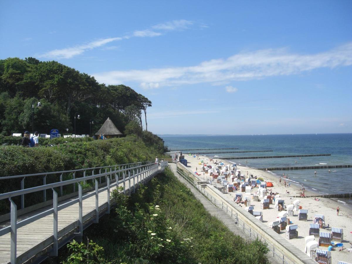 Ferienwohnung am Gespensterwald - Ferienwohnung Ostseebad Nienhagen