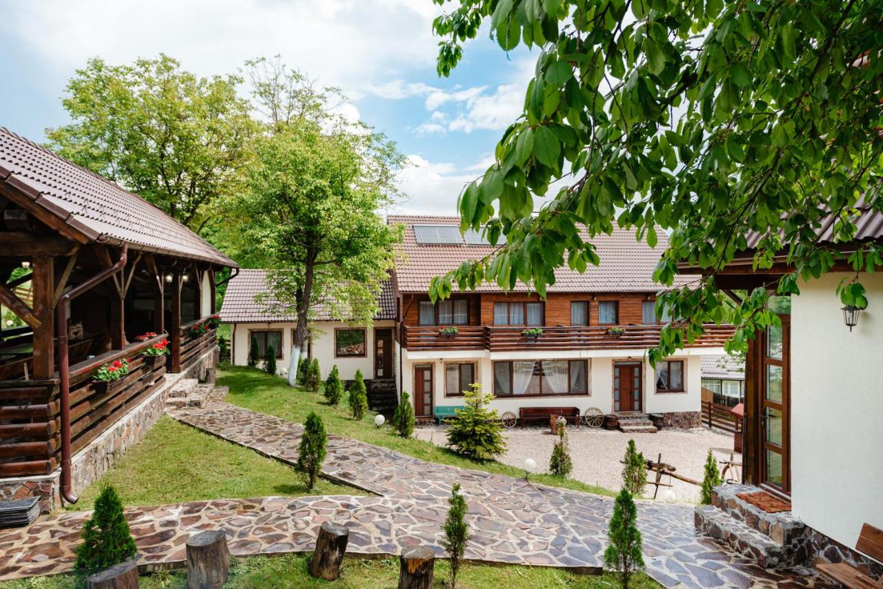 CONACUL TRANSILVAN - Ferienwohnung Mărgău