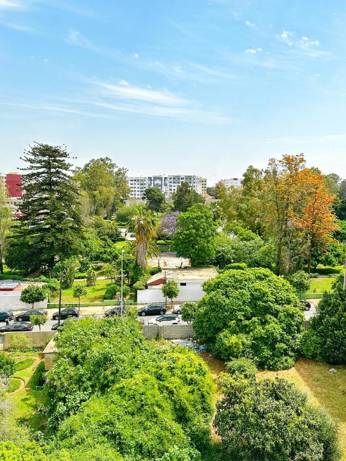 Magnifique appartement en plein centre ville - Chambres d’hôtes