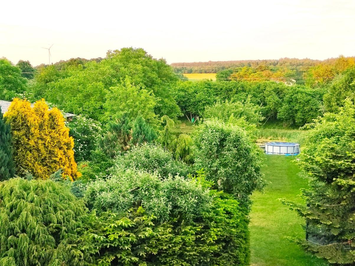 Quadruple Room with Garden View