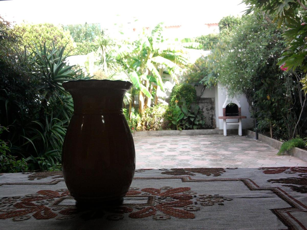 Villetta con ampio giardino a due passi dal mare - B&B Torre dell'Orso