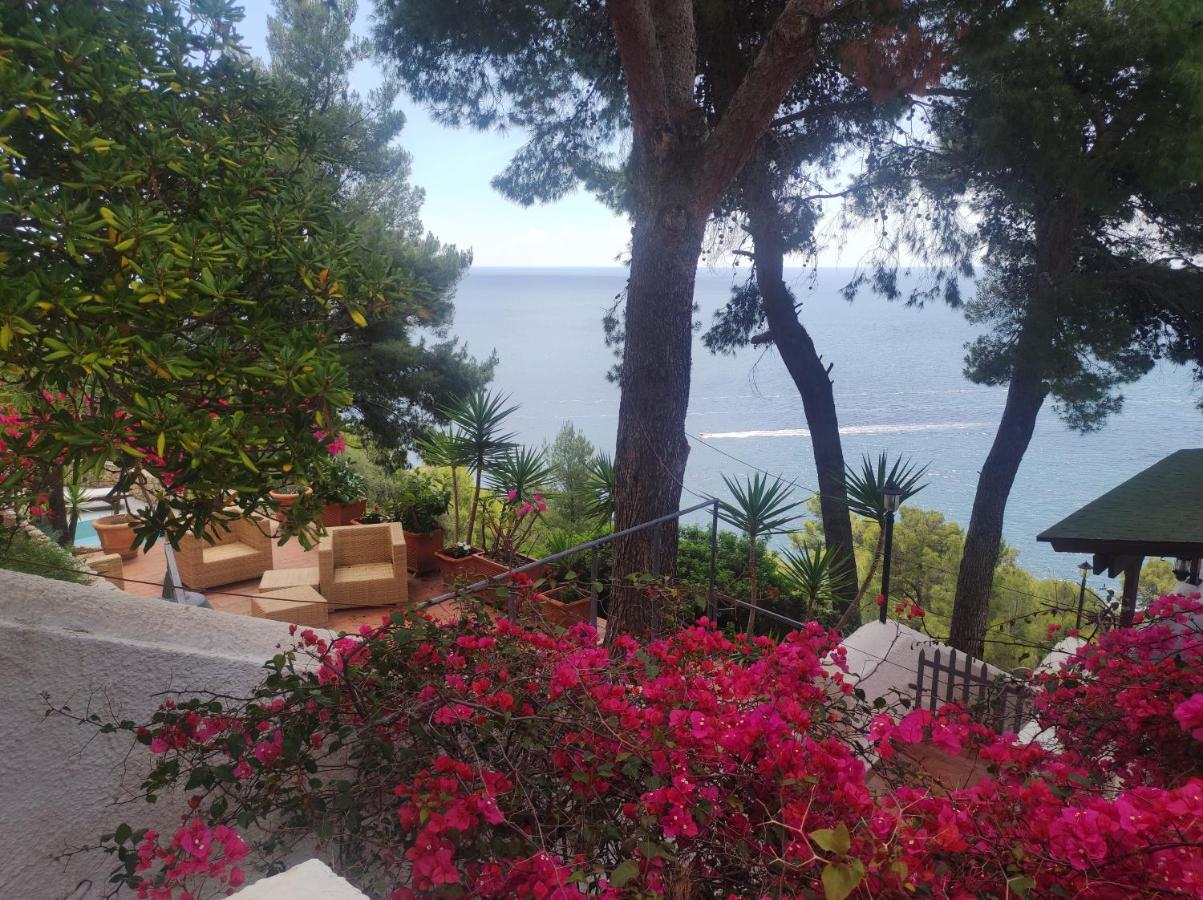 NSM Villa Carlotta E Villa Guarda che Mare con vista panoramica - Bed and Breakfast Pugnochiuso
