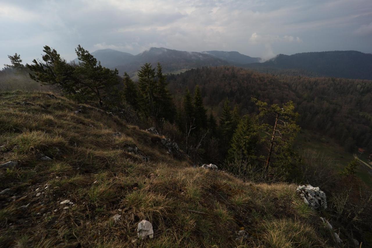Planinska kuća Bubi - Tara, Zaovine. - Ferienwohnung