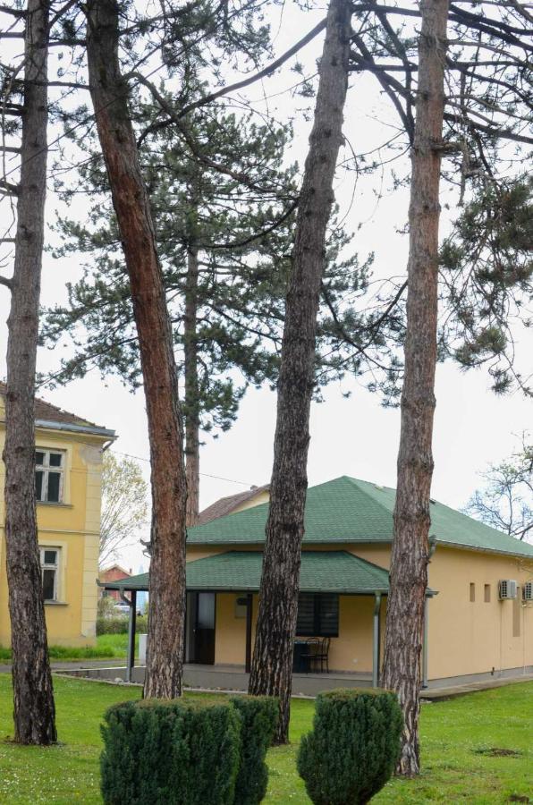 Apartmani Park Mataruška Banja - B&B