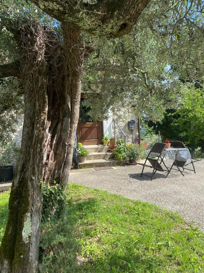 B&B Vacone - la casetta di Vacone - Bed and Breakfast Vacone