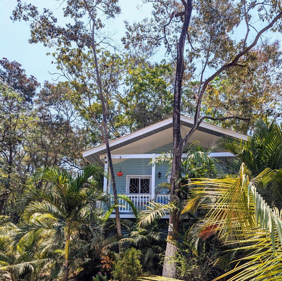 West Bay Roatan - Sunny & Modern Oasis- - 3 min to beach - Queen beds! - Bed and Breakfast
