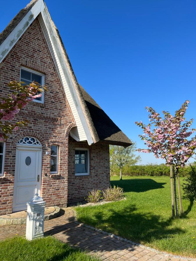 Reethaus MeerFerien direkt am Wasser - B&B