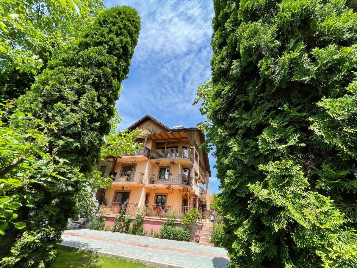 Pensiunea Rebeca - Chambres d’hôtes Bughea de Sus