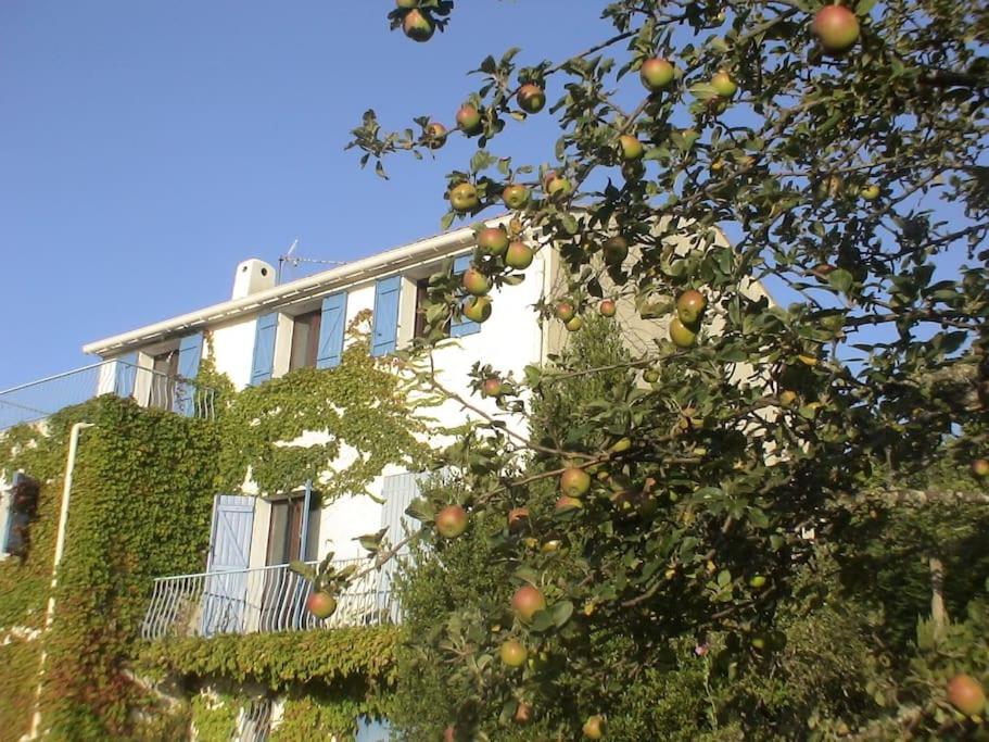 Fraîcheur & calme en Montagne, 30minutes de la mer - Ferienwohnung Porto-Vecchio