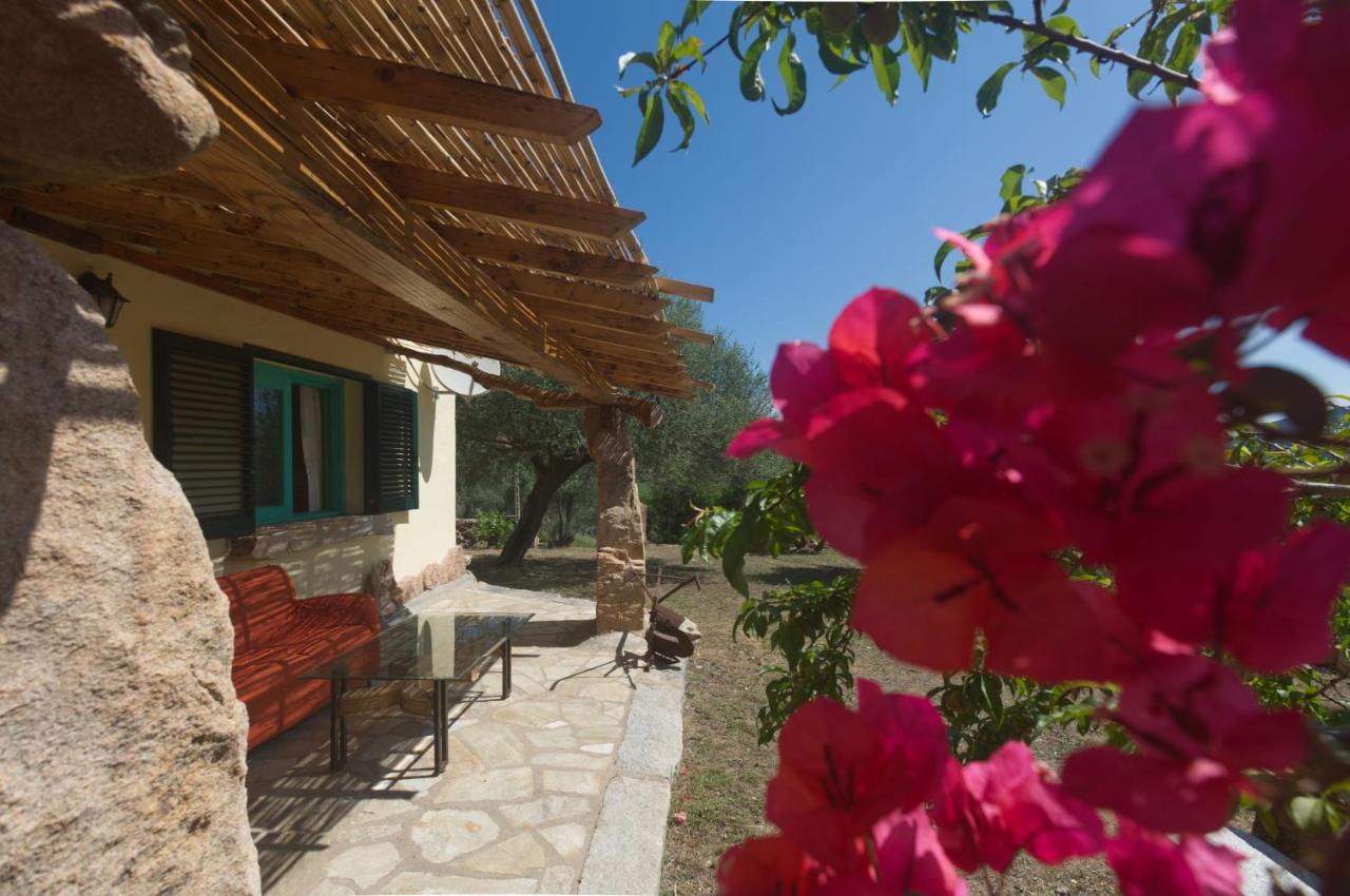 B&B Porto San Paolo - [15 min da Olbia] Green Country - Bed and Breakfast Porto San Paolo