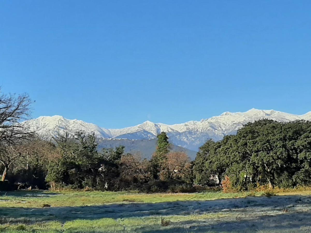 Bel appartement Corse côte Est - Ferienwohnung