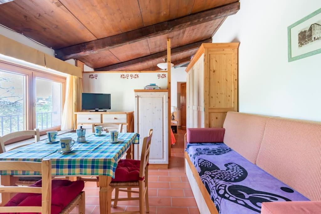 B&B Castel del Piano - Vacanzainmaremma - TG32 Appartamento caratteristico Monte Amiata - Relax - Privacy - Free parking - Bed and Breakfast Castel del Piano