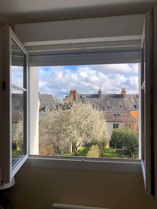 Appartement plein centre Le Mans - B&B