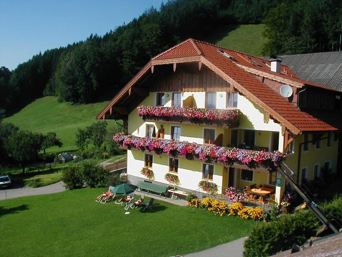 B&B Mondsee - Gesundheitshof Lohninger - Bed and Breakfast Mondsee