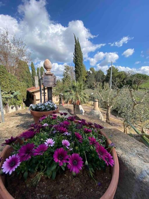 B&B Sant'Antonio - Country house in Maremma Villa Mafalda - Bed and Breakfast Sant'Antonio