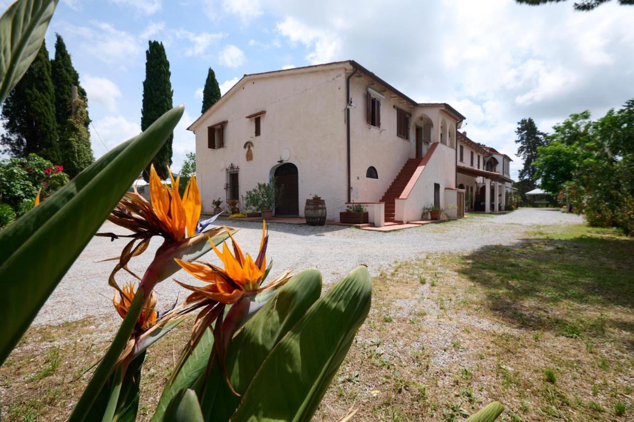 B&B San Vincenzo - Antichi Palmenti - Erica - Bed and Breakfast San Vincenzo