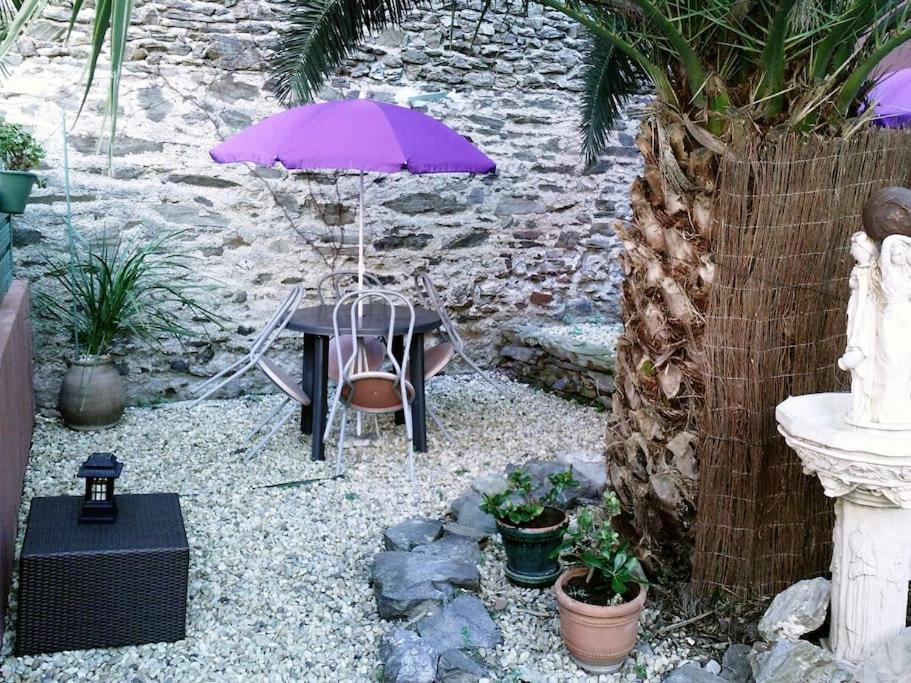 Coquet 2 pièces au centre de Collioure - B&B
