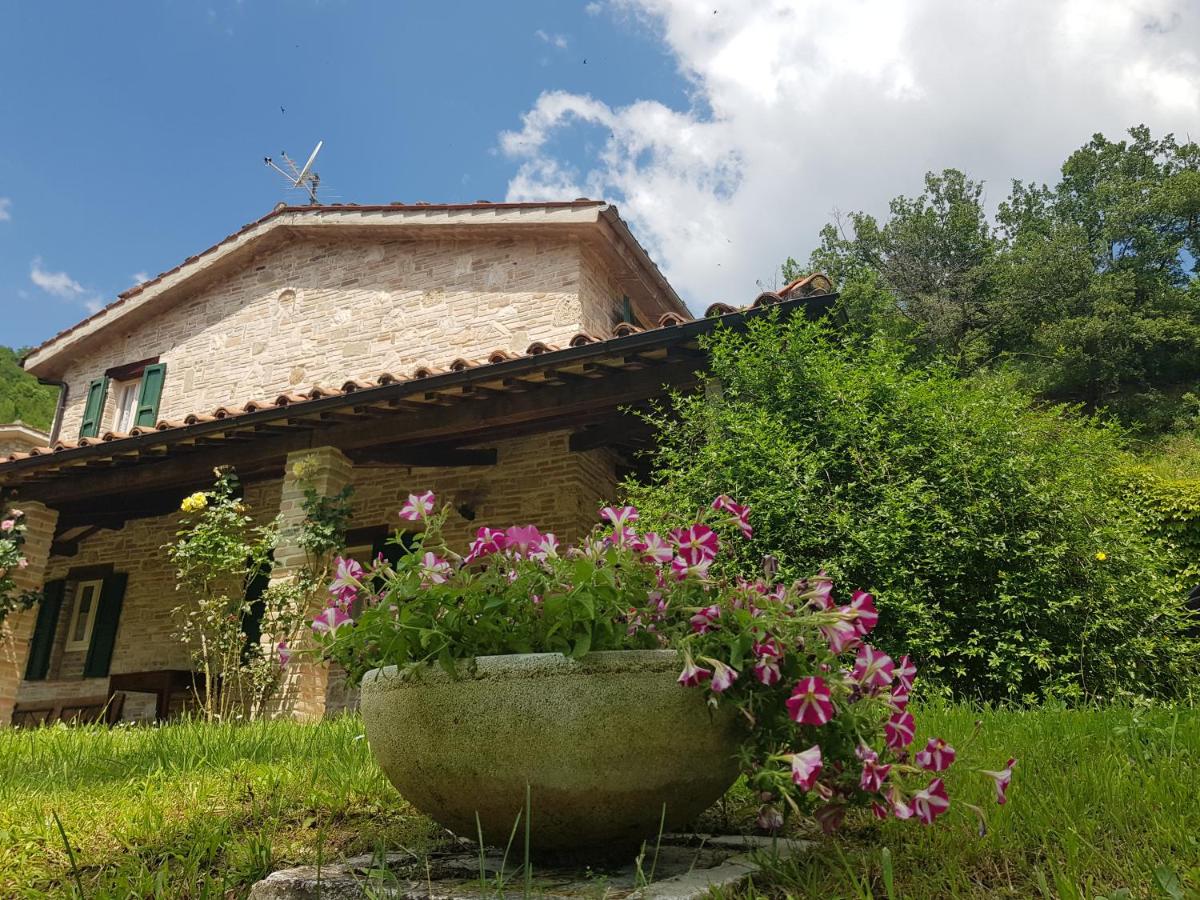 B&B Amandola - Alchemilla Vacanze - Bed and Breakfast Amandola