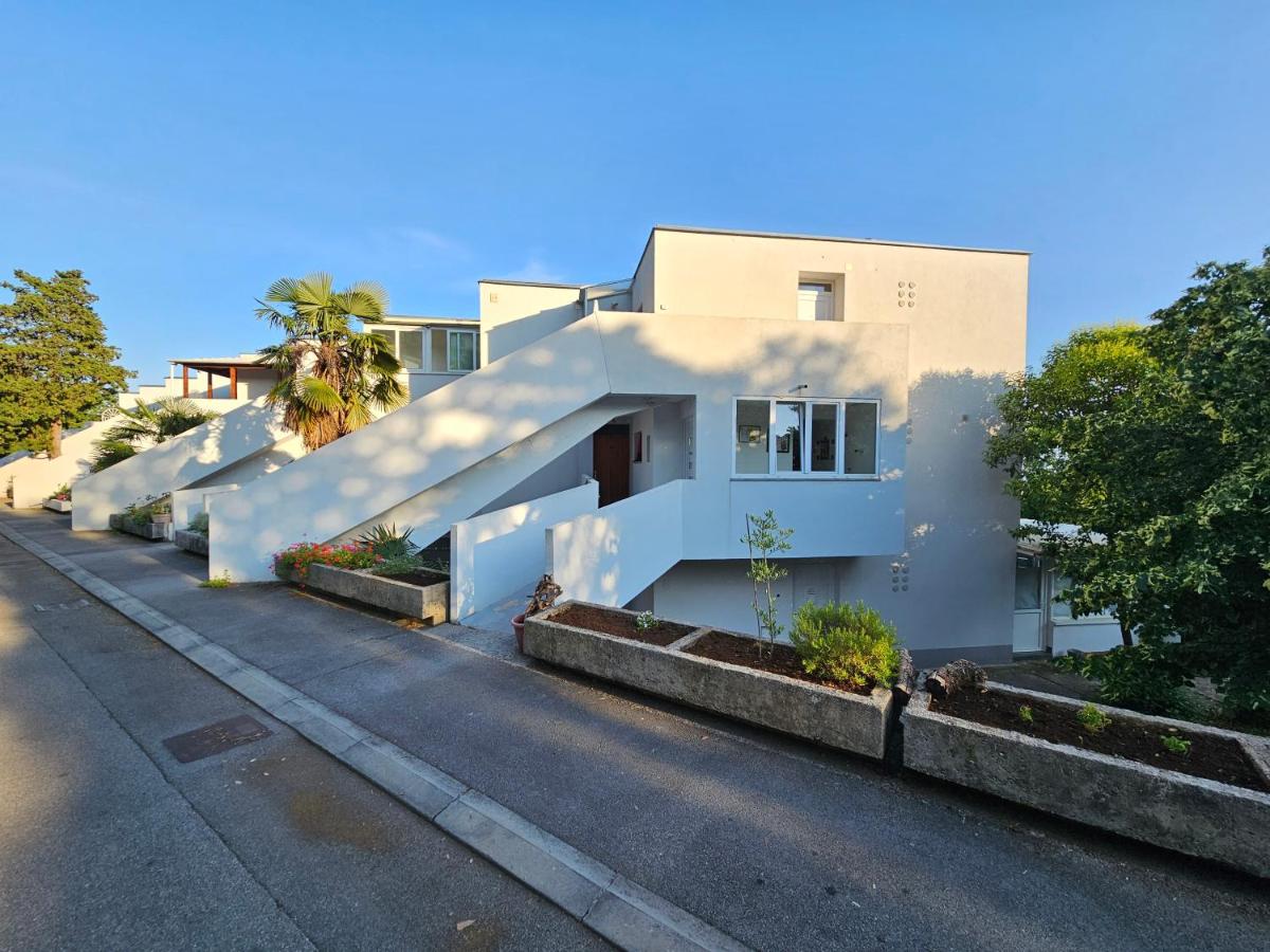 Apartman Carnevalus - B&B