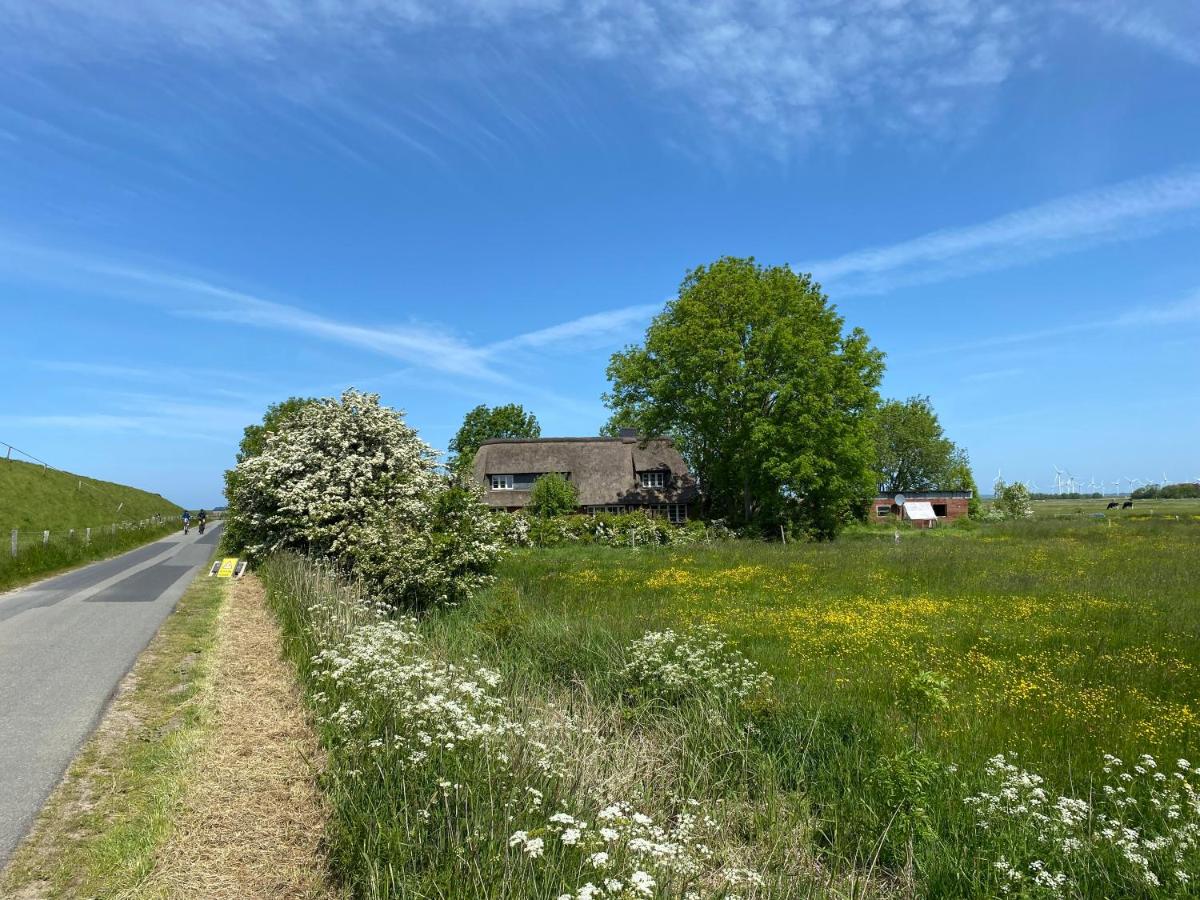 Ferienwohnung Marschkieker - Kleiner Deichhof - Ferienwohnung