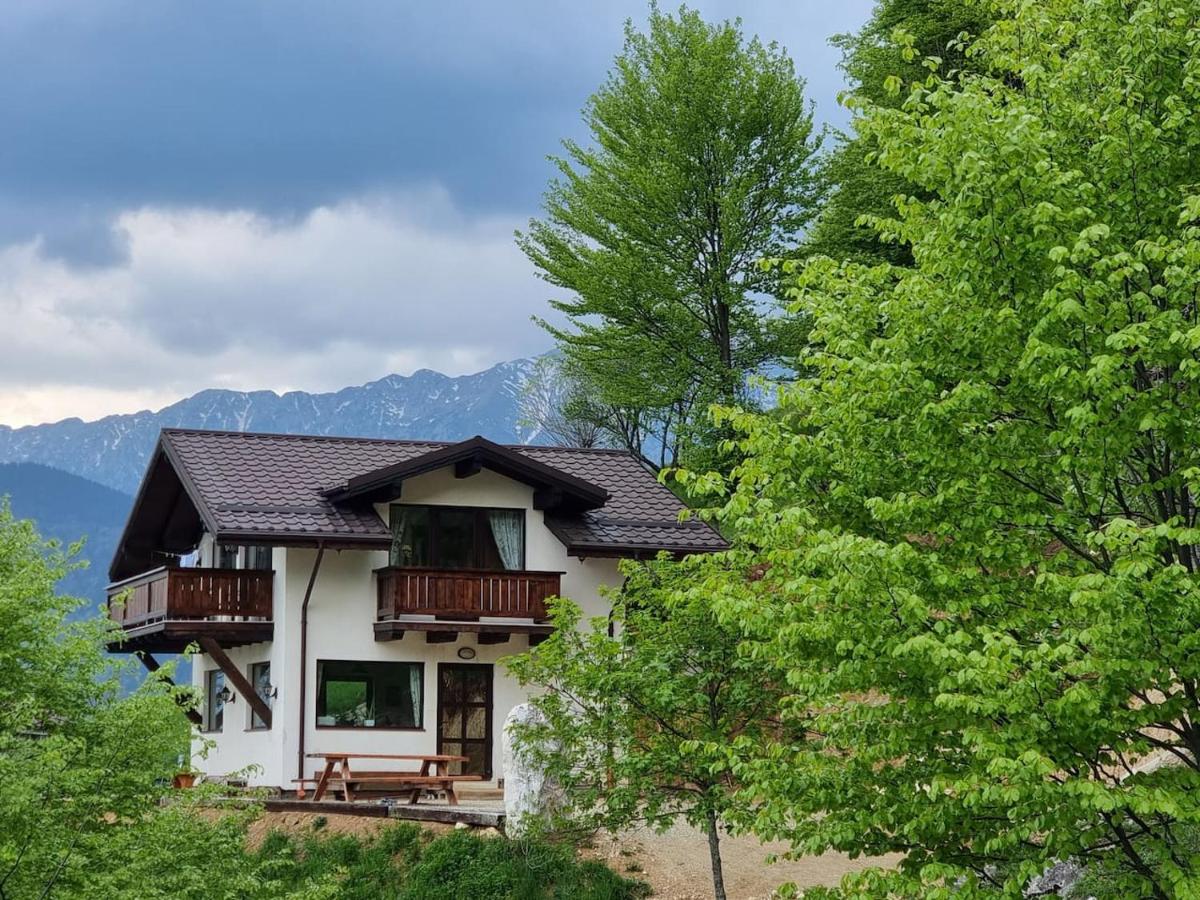 Two-Bedroom Chalet