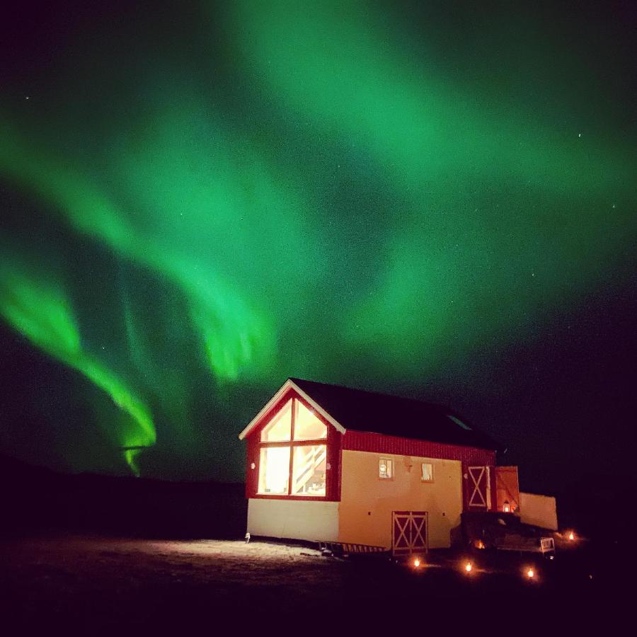 Unique Barnhouse in Amazing Gimsøy in Lofoten - Bed and Breakfast Saupstad
