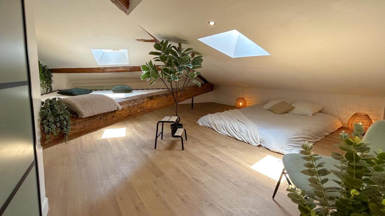 L'Amazonien - Baby-foot et filet de détente ! - Ferienwohnung