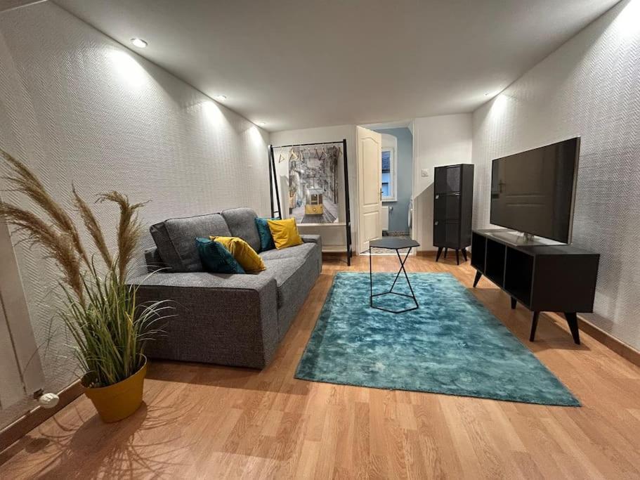 Appartement 1 Chambre