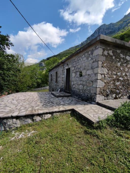 Nature Escape Montenegro - Ferienwohnung Kotor