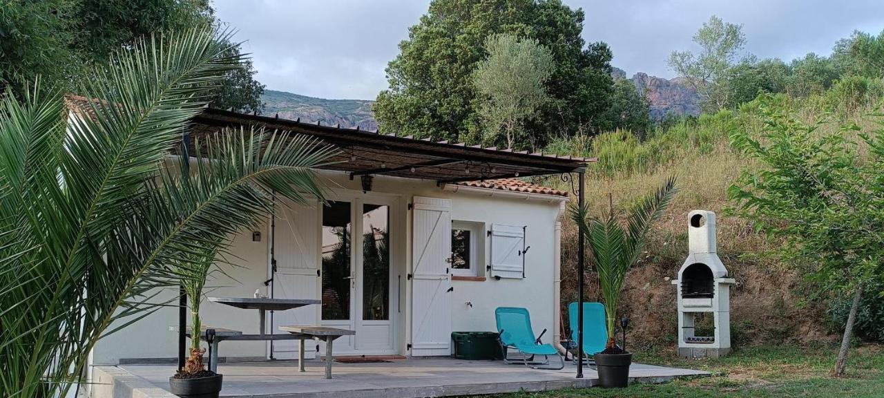 Charmante maisonnette situé au calme proche d'Ajaccio. - Ferienwohnung