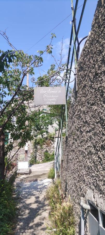 Uno Scorcio di Paradiso - B&B