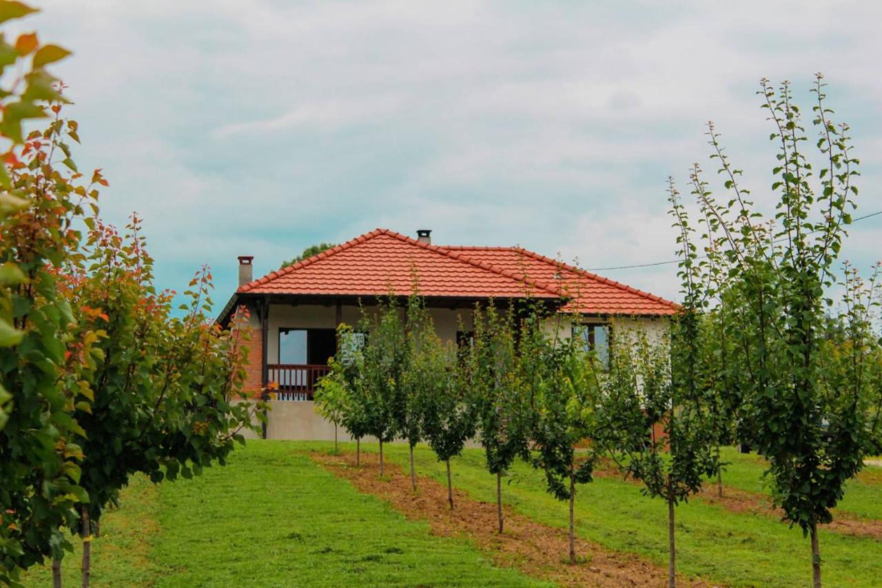 Villa Sladjana - B&B Mladenovac