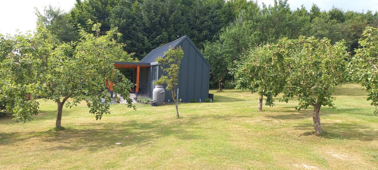 Domek pod borówką - Chambres d’hôtes