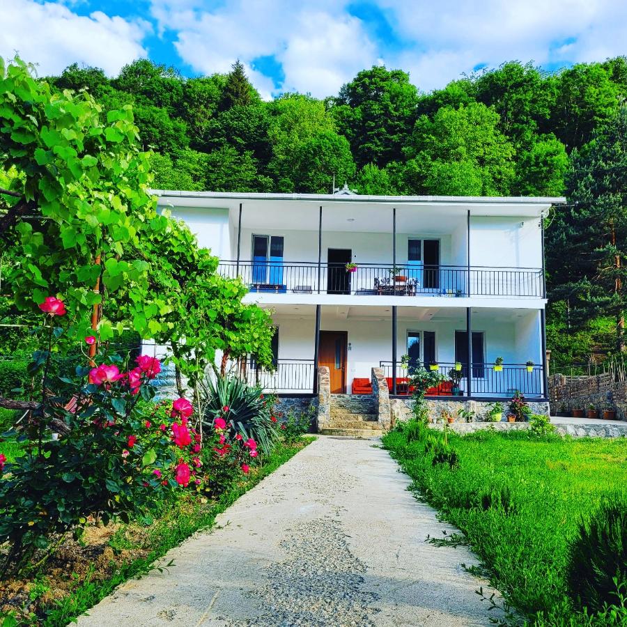 Family hotel mountain panorama - B&B