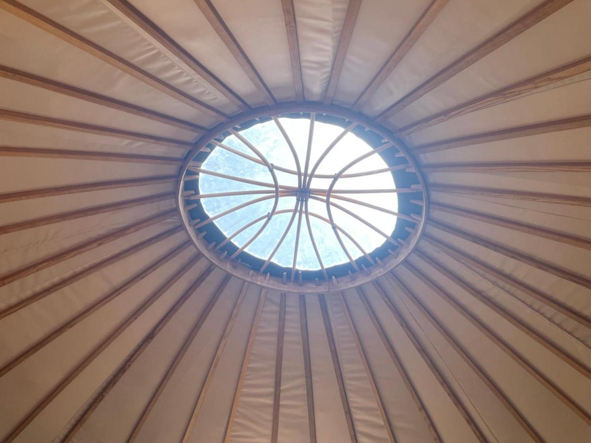 Puckaster Cove Garden Yurt - B&B