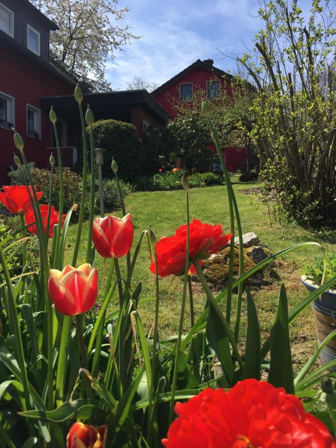 Ferienwohnung Auenthal - Ferienwohnung Köditz