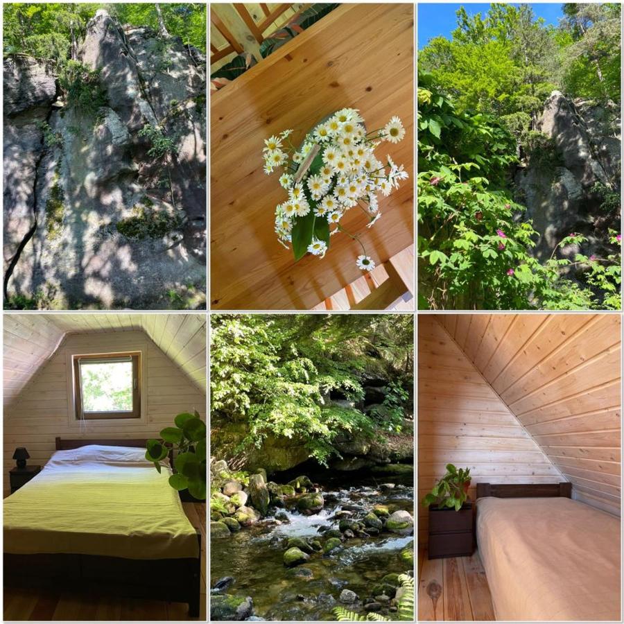 Domek przy Rozpadlisku - Chambres d’hôtes Podgórzyn